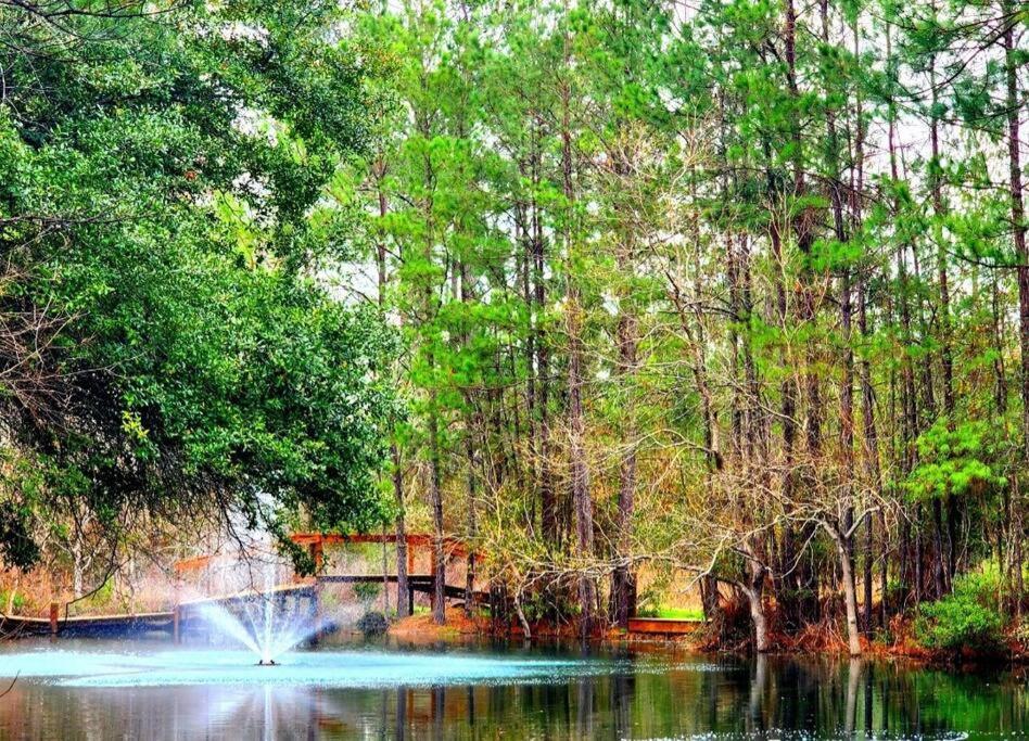 Waterfront Houston Hide Out In A Magical Forest Waller Exterior foto